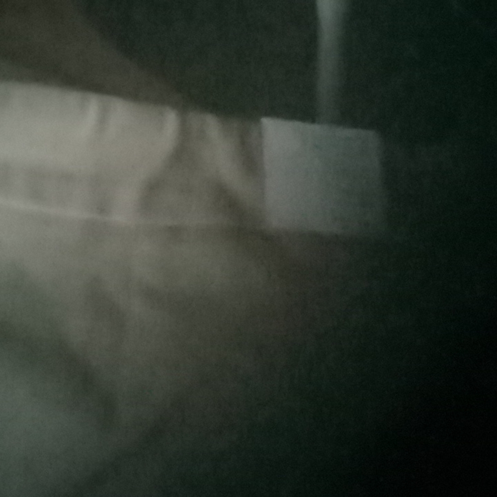 Bermuda Shorts
